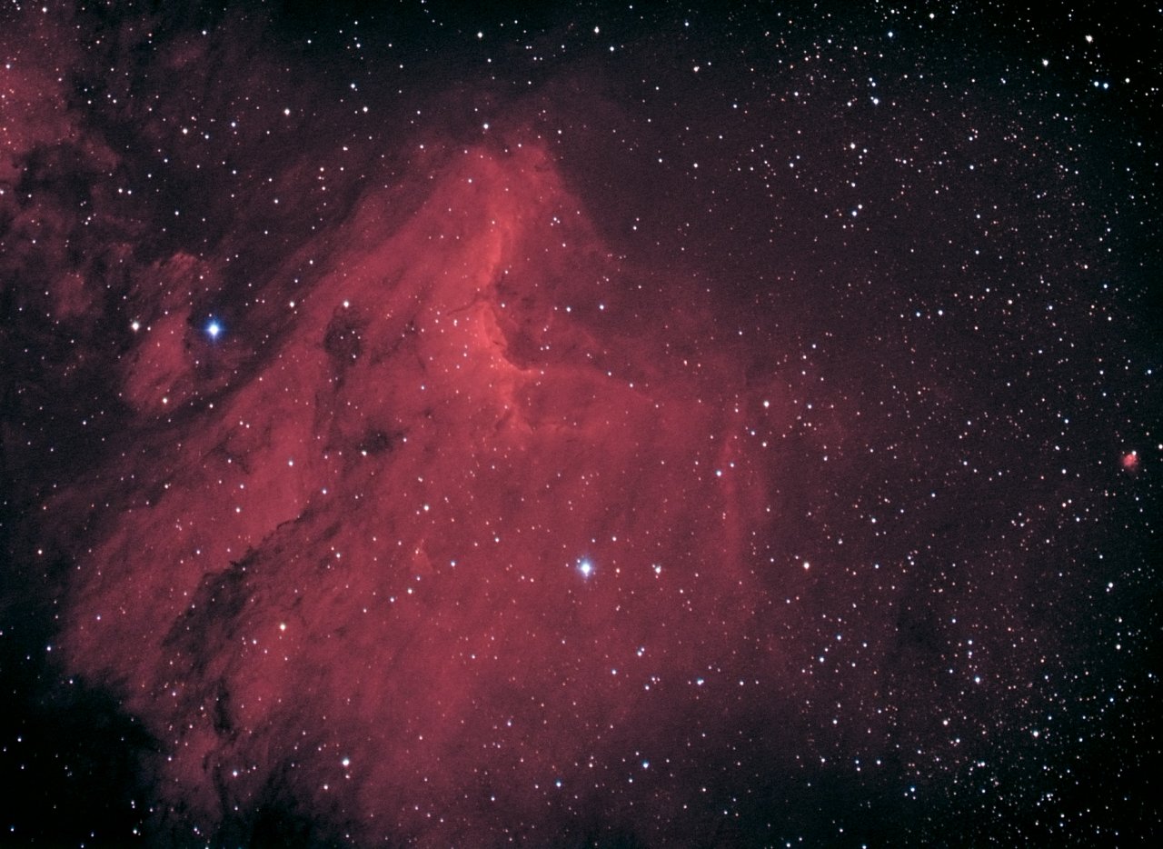 IC5070, the Pelican Nebula